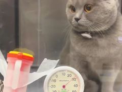 -宠颐生宠物医院·异宠猫科内科·诊疗中心宠巢店
