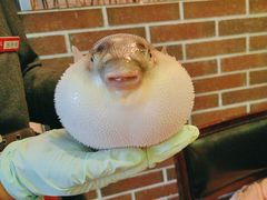 -永安鱼庄·镇江菜(东吴路店)