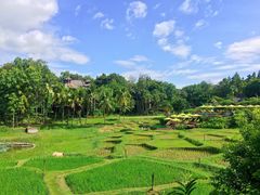 -四季酒店下午茶