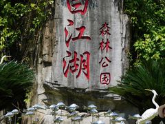 -广州白江湖森林公园