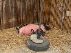 -HERRE·FARM 赫尔露营农场·团建聚会包场