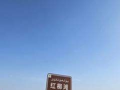 -哈密雅丹大海道景区