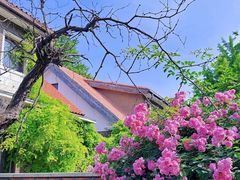 -天津五大道文化旅游区