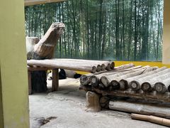 -杭州野生动物世界