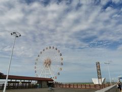 -奉贤海滩