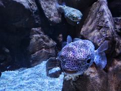 -成都浩海立方海洋公园