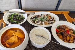 -臻康乃馨月子中心(集美店)