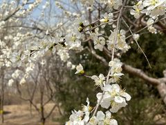 -永定河休闲森林公园