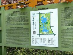 -青枫公园