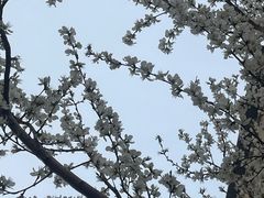 -南开大学(津南校区)