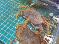 -大众海鲜(巨龙北路店)