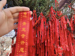-西安青龙寺遗址景区