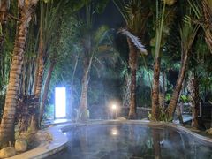 -罗浮山嘉宝田森林温泉度假酒店