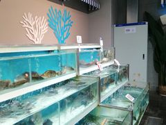 水产区-盒马鲜生(昆城店)