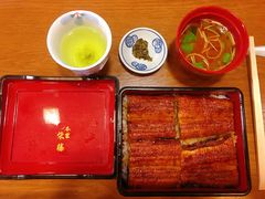 柴藤流鳗鱼饭-本家 柴藤