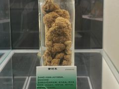 -广东中医药博物馆