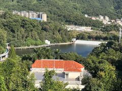 -银湖山郊野公园-相思林