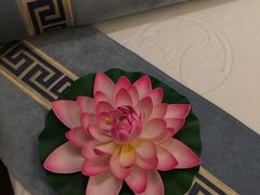 -华夏良子·足道SPA艾灸(王府井店)