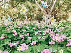 景点-南海子公园