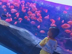 -梦幻海洋王国(吾悦广场张家港店)