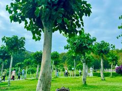 -三亚南山文化旅游区