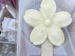 -桃花堤公园