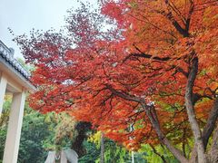 -西安市纺织公园