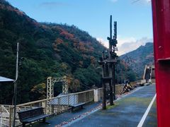 -岚山嵯峨野观光小火车