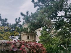 -八大关景区