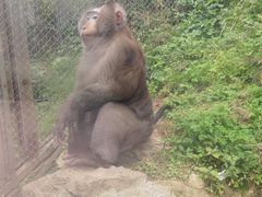 -黔灵山公园