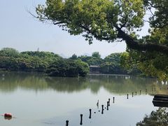 -江心屿景区