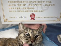 -派联宠物医院·24h·CT·异宠