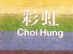 -彩虹村
