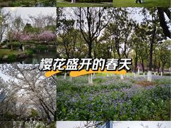 -苏州独墅湖世尊酒店
