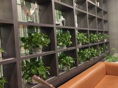 -徐鼎盛民间菜(奥体店)