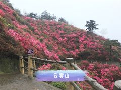 -木兰云雾山