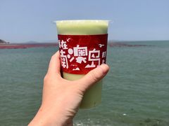 -南澳岛打卡果汁冰公司