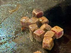 -VT101维多利广场