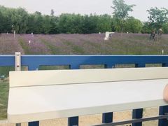 -同里国家湿地公园
