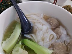 -MR鹅外