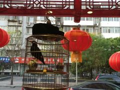 门面-红红烤鸭店(西单店)
