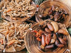 -昆虫窝子·特色云南菜(拓东路总店)
