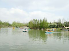 -秀丽东方