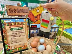 -友谊阳光城