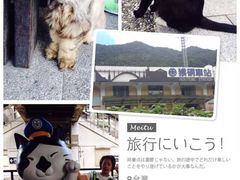 -平溪村