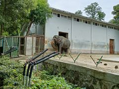 -合肥野生动物园