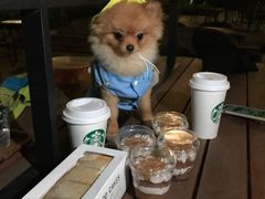 -星巴克臻选(广州沙面店)