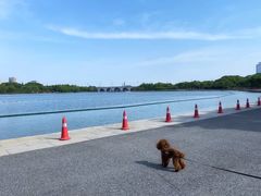 -尚贤河湿地