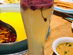 -青瓷火锅料理(西单大悦城店)