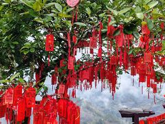 -九曲溪竹筏码头